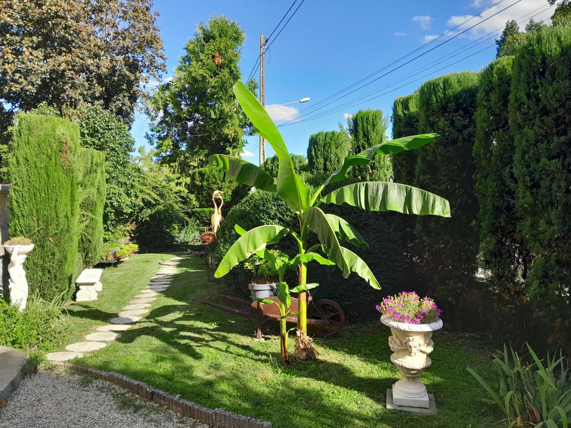 Bed and Breakfast Le Madrigal Mamers Exterior foto
